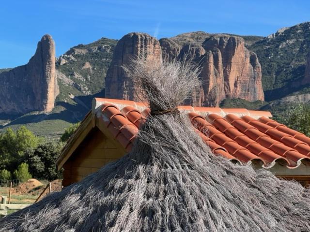 Camping Bungalows Armalygal Murillo de Gállego Kültér fotó