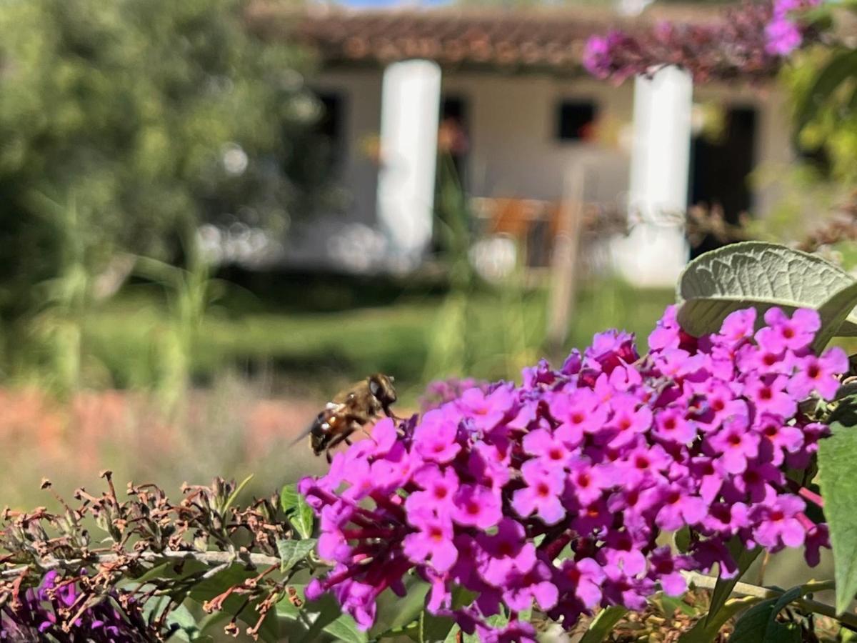Camping Bungalows Armalygal Murillo de Gállego Kültér fotó